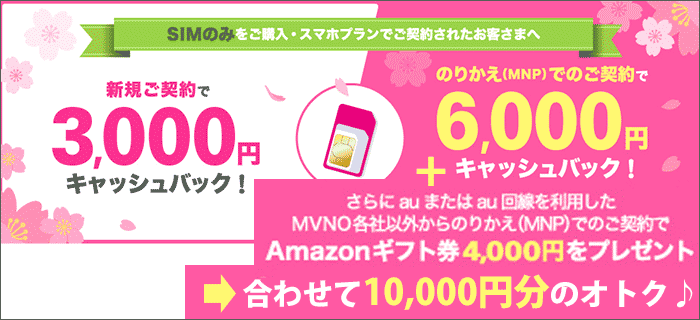 公式ストアでMNP・SIM購入でキャッシュバック+Amazonギフト券!