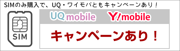 SIMのみ購入キャンペーンあり!