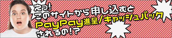 ワイモバイルに乗り換え:このサイトで申し込むと、キャンペーンあり!