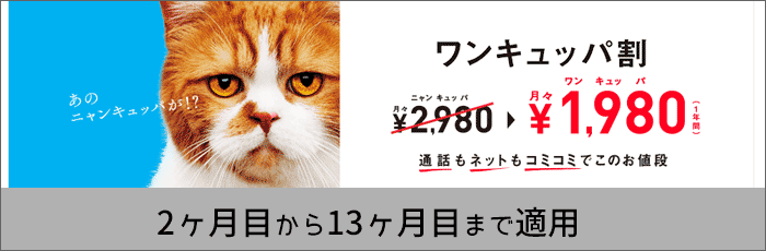 ワンキュッパ割