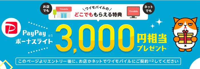PayPay3,000円分貰えるキャンペーン