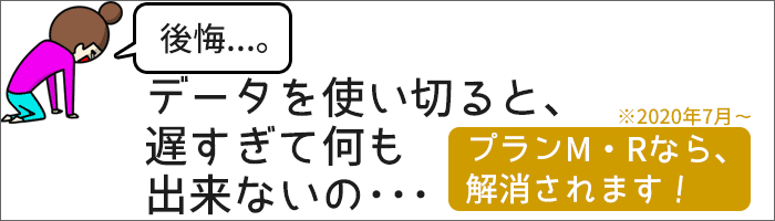 データを使い切ると、遅すぎて何も出来ないの・・・