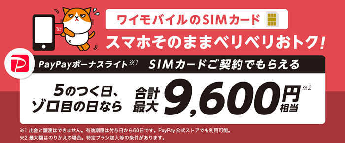 SIMのみ購入で最大6,600円分PayPay!