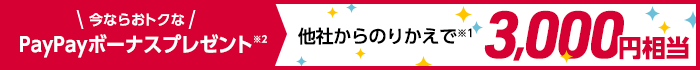 ワイモバイル公式SIM購入キャンペーン