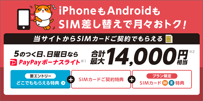SIMのみ購入で最大11,000円分PayPay!