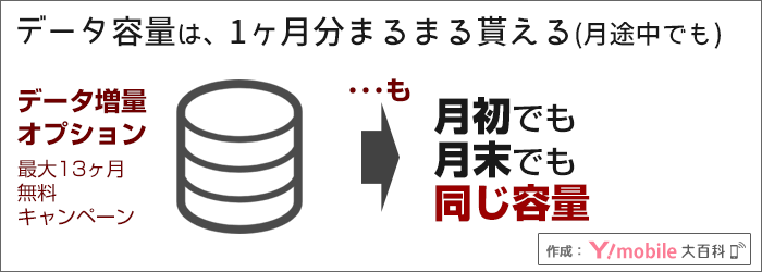 「データ増量オプション」分のデータ容量も、1ヶ月分。