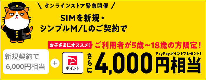 ワイモバイル公式SIM購入・新規18歳以下キャンペーン