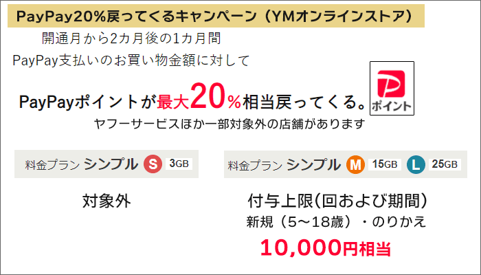 PayPay20%戻ってくるキャンペーン概要